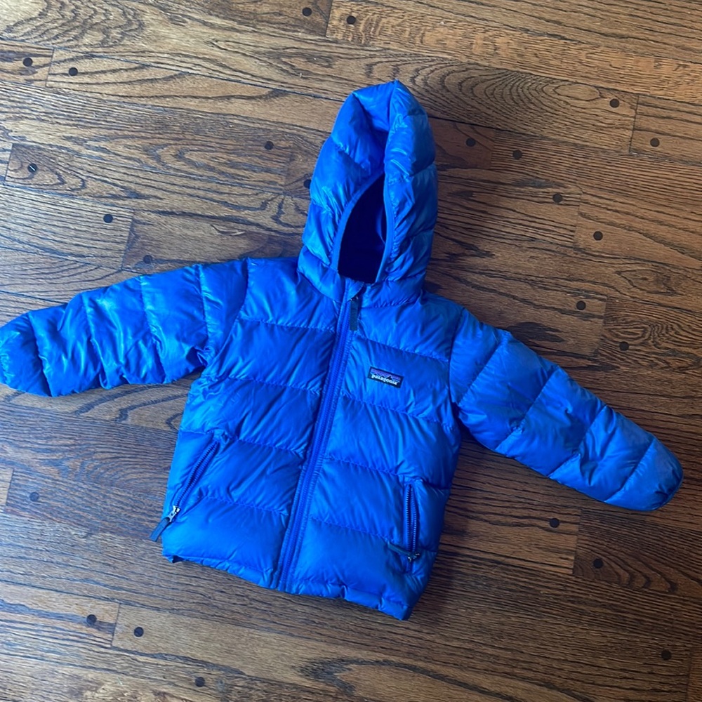Patagonia Hi-Loft Down Sweater Hoody